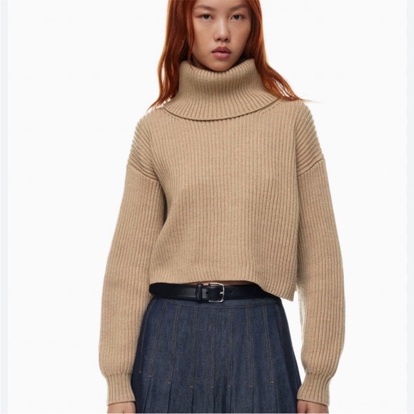 Aritzia Babaton Guell Luxe Cashmere Turtleneck Sweater - Picture 1 of 6